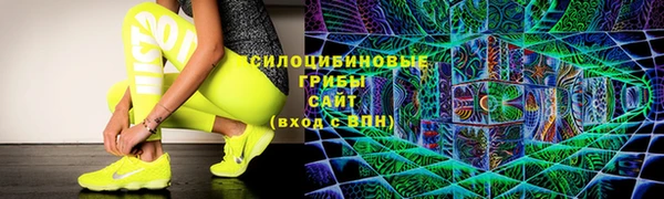 круглые Осинники
