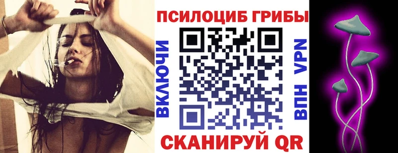 даркнет сайт  Кадников  Псилоцибиновые грибы Psilocybe 